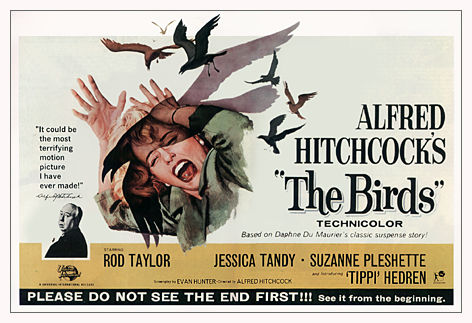 http://hitchcock.tv/mov/birds/images/birds.jpg